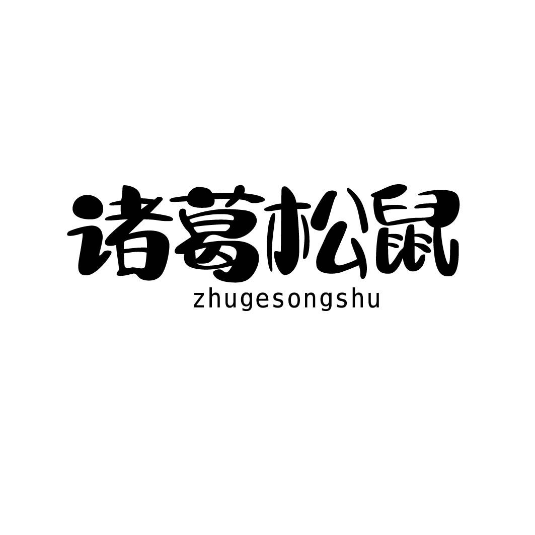 诸葛松鼠