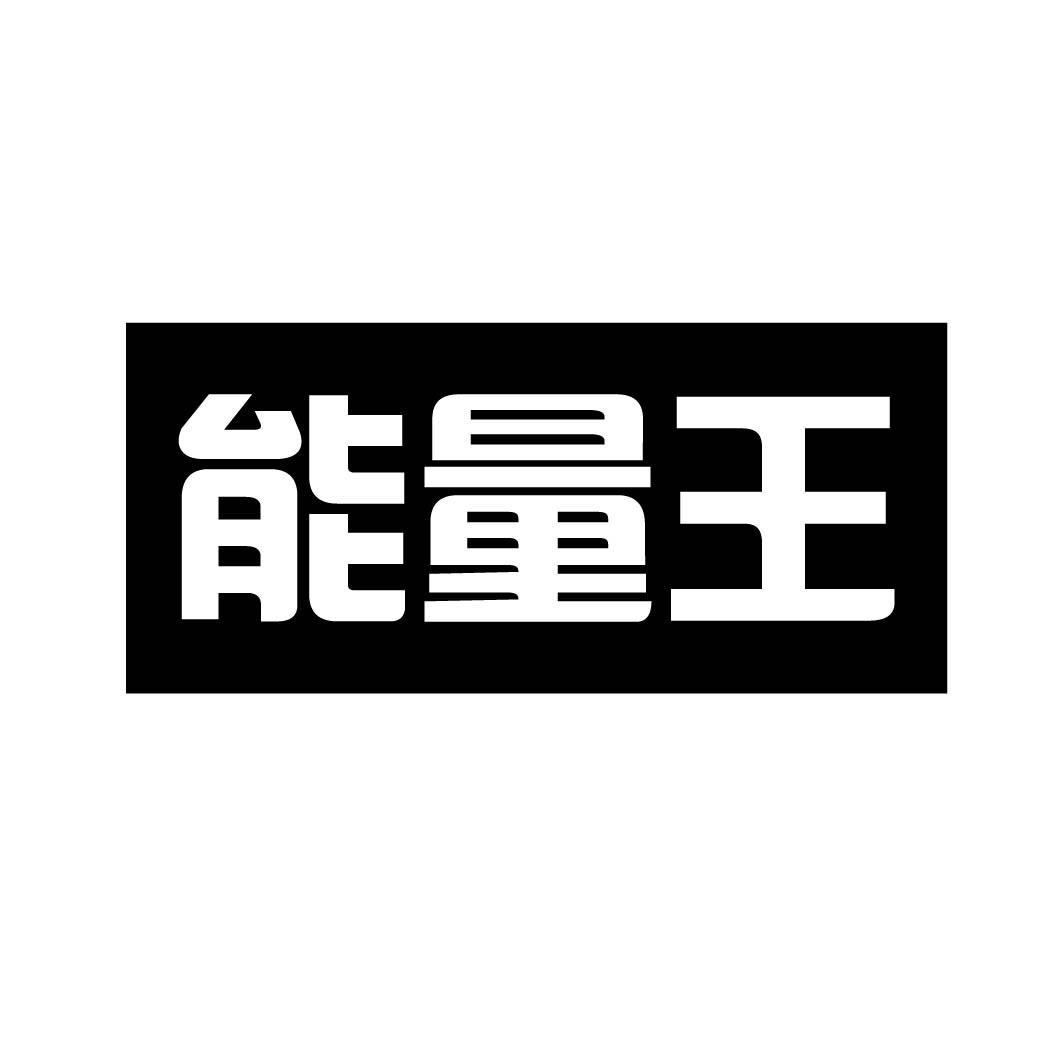 能量王